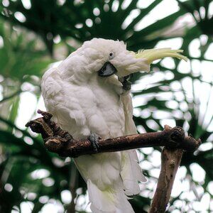 Meet your Posher, Wendy